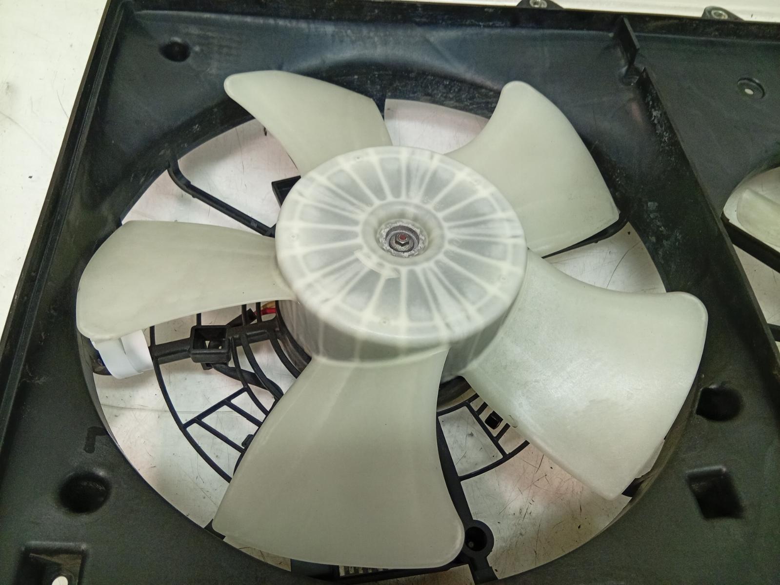 Fan