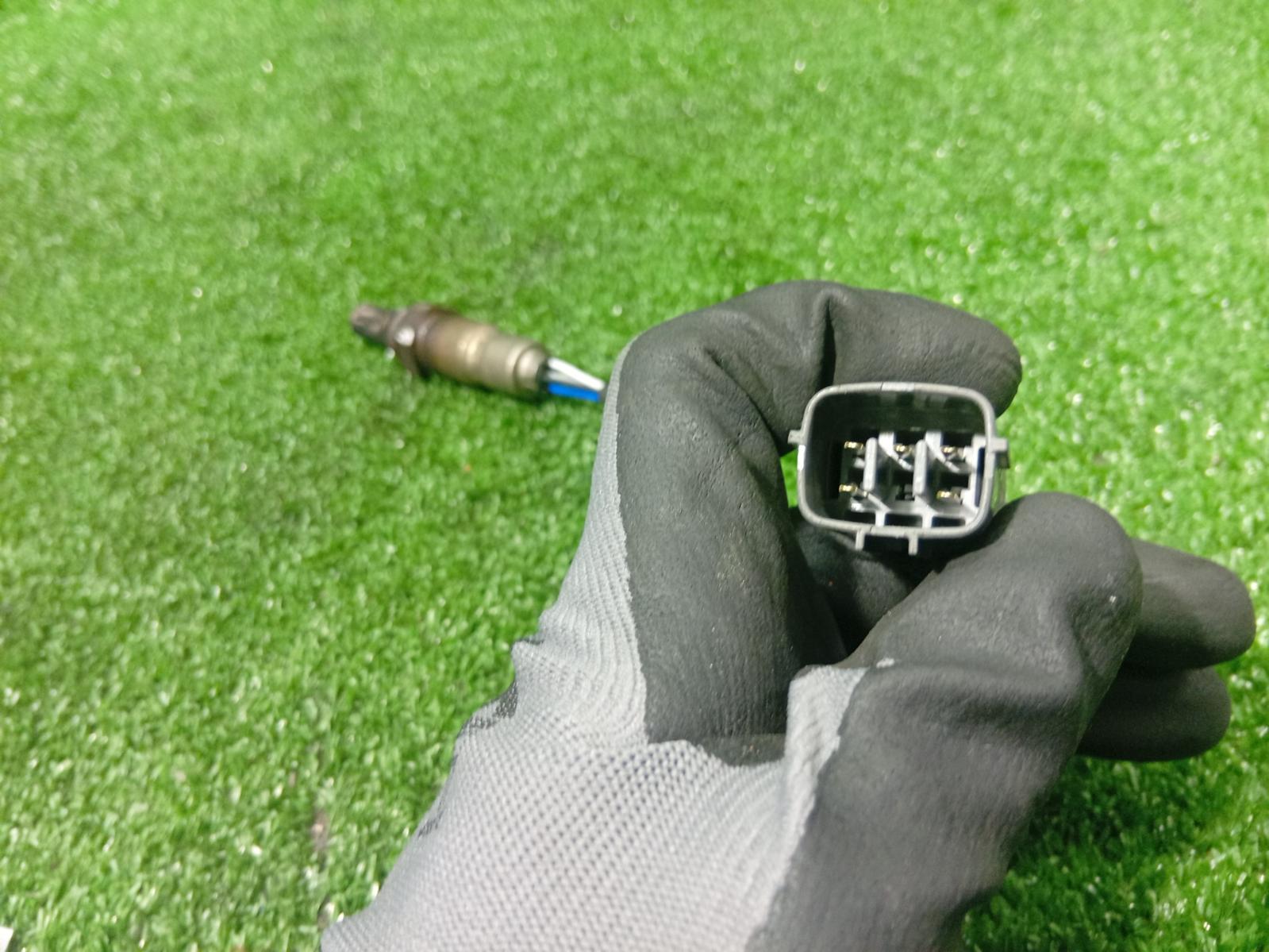 Oxygen Sensor