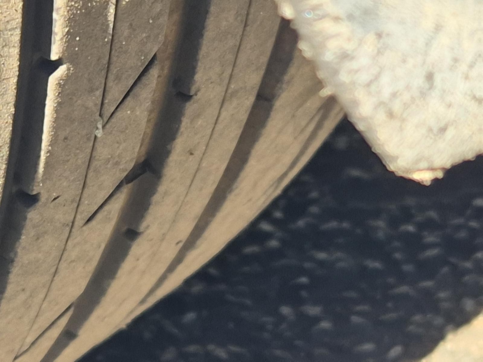 Mazda Atenza - GH 2008-2012