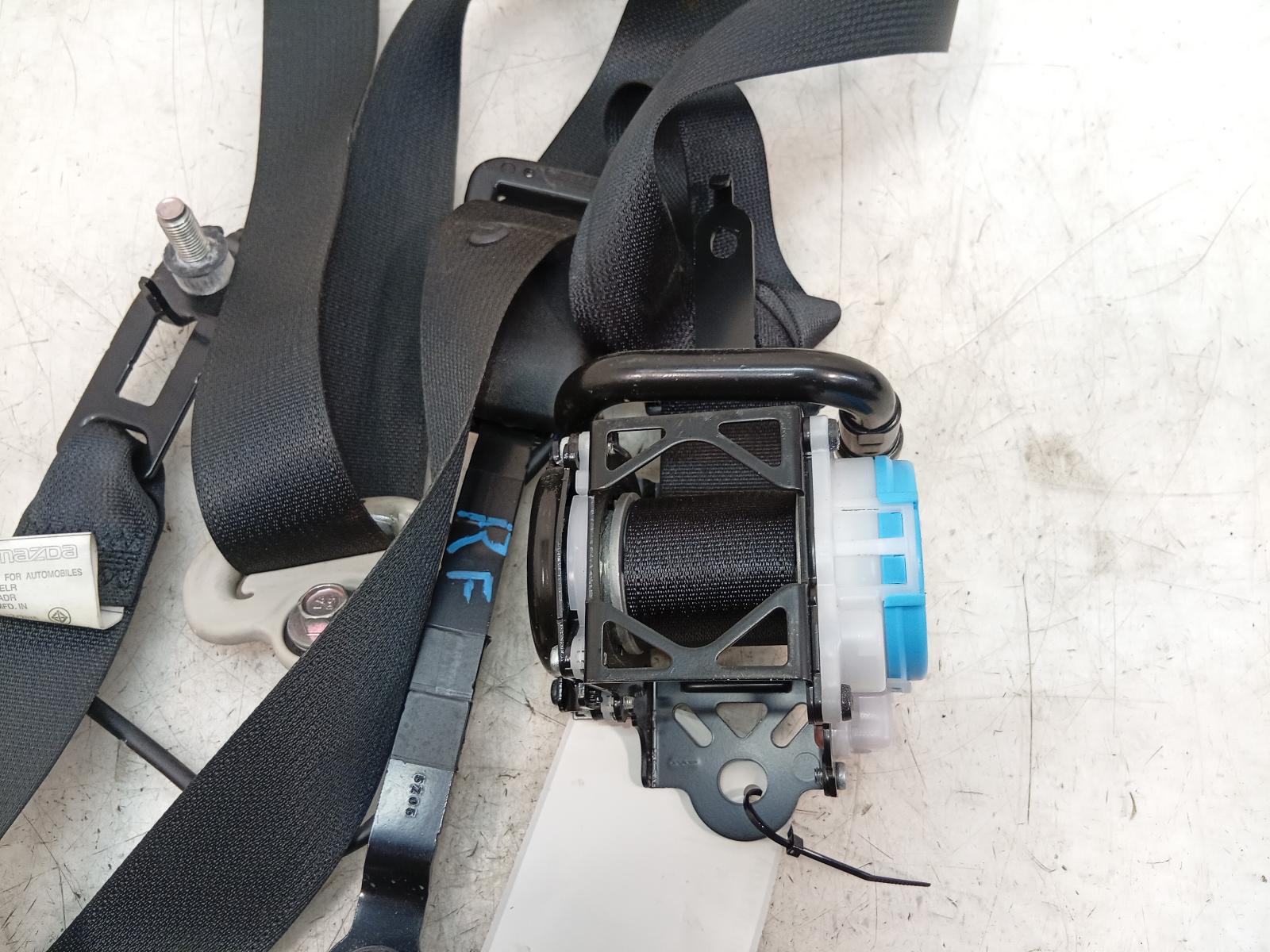 Seat_Belt_Stalk