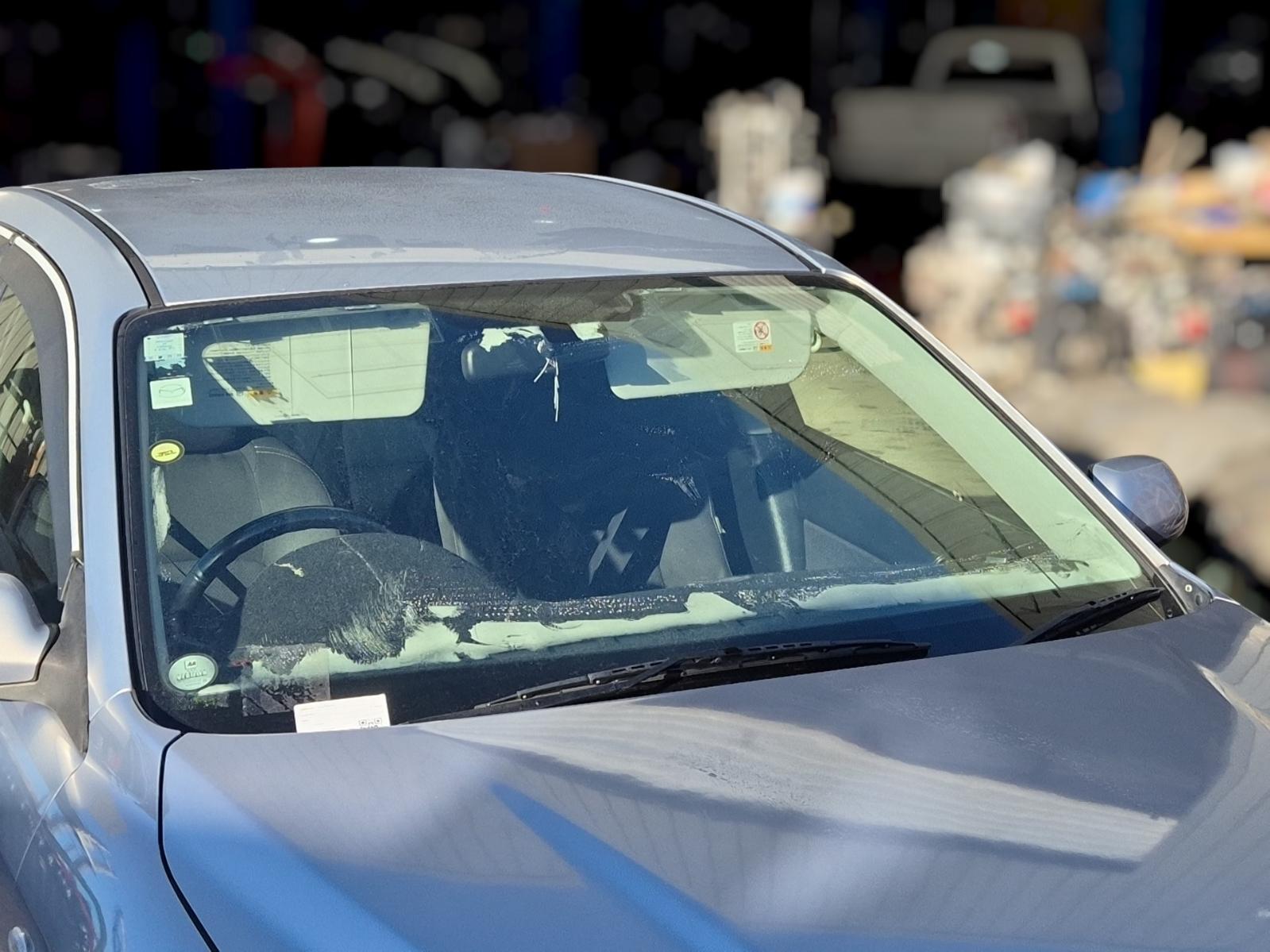 Windscreen
