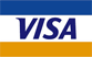 Payment with Visa