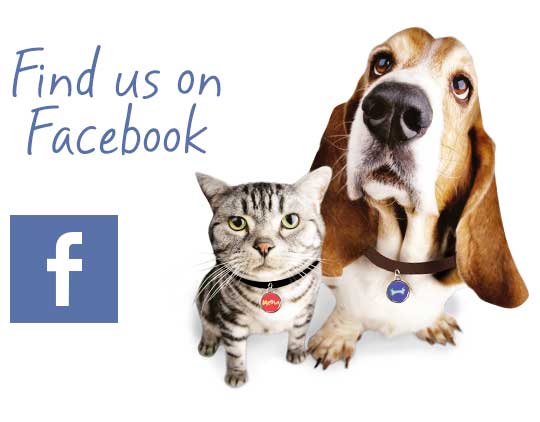 Follow us on Facebook