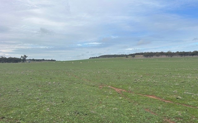 property pic