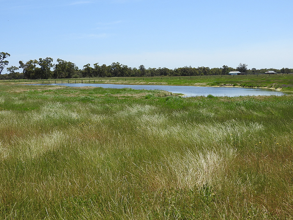 Lot 46 Brownes Road, Coolup WA Ron Farris