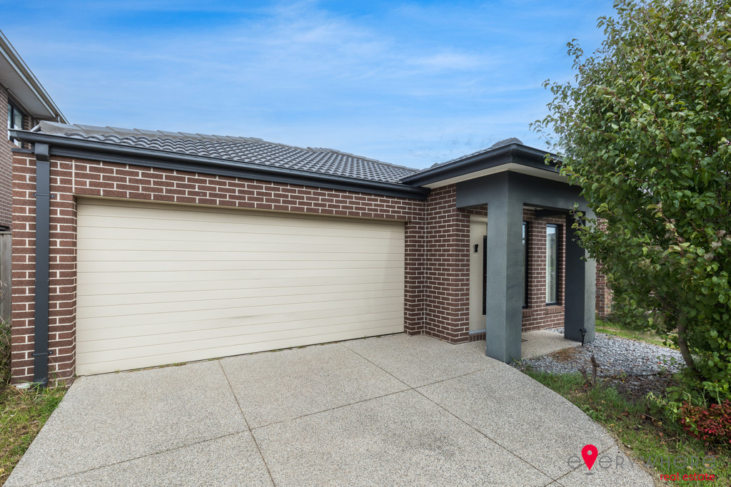 Hero Background Image