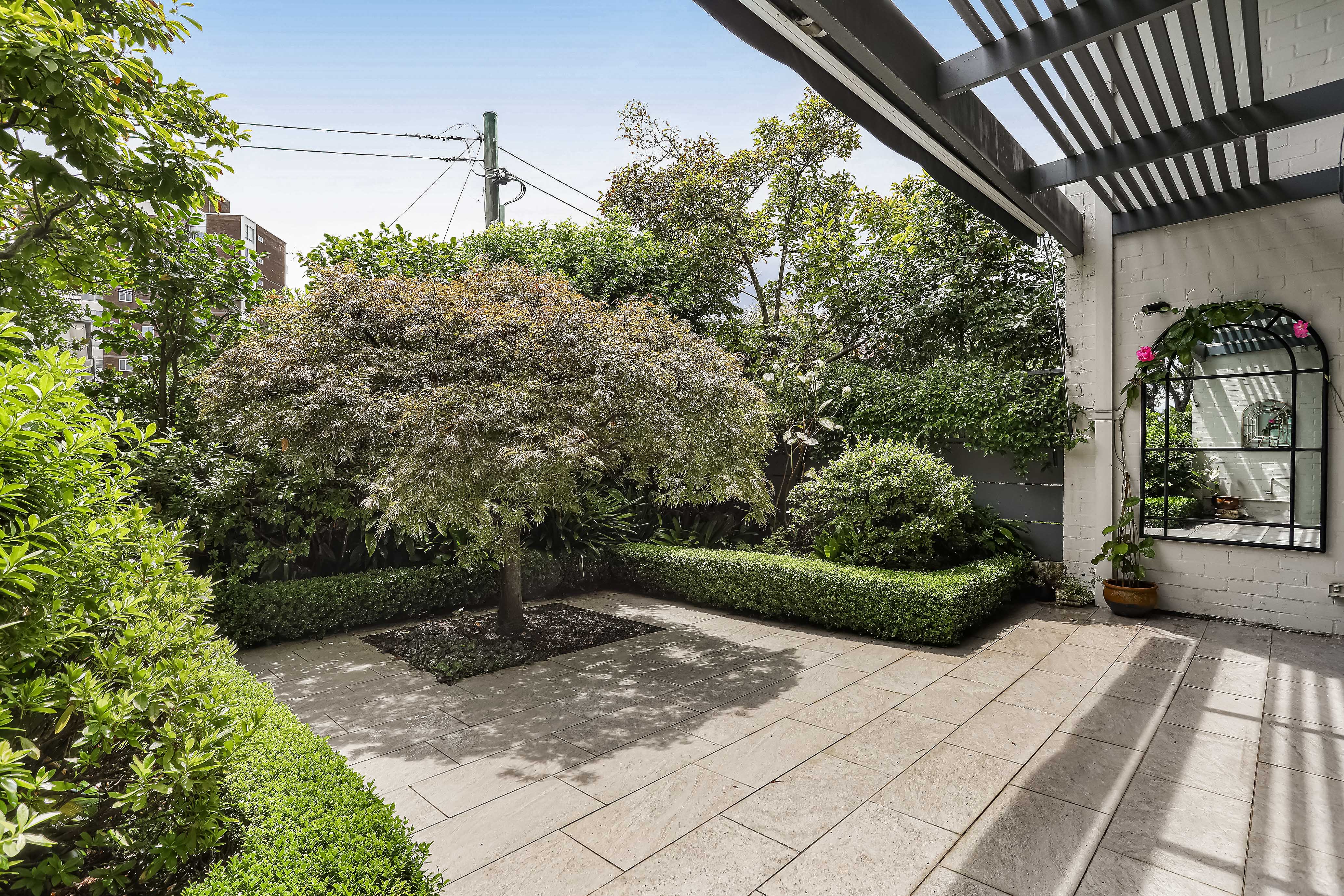 3/17 Albert Street, Edgecliff NSW