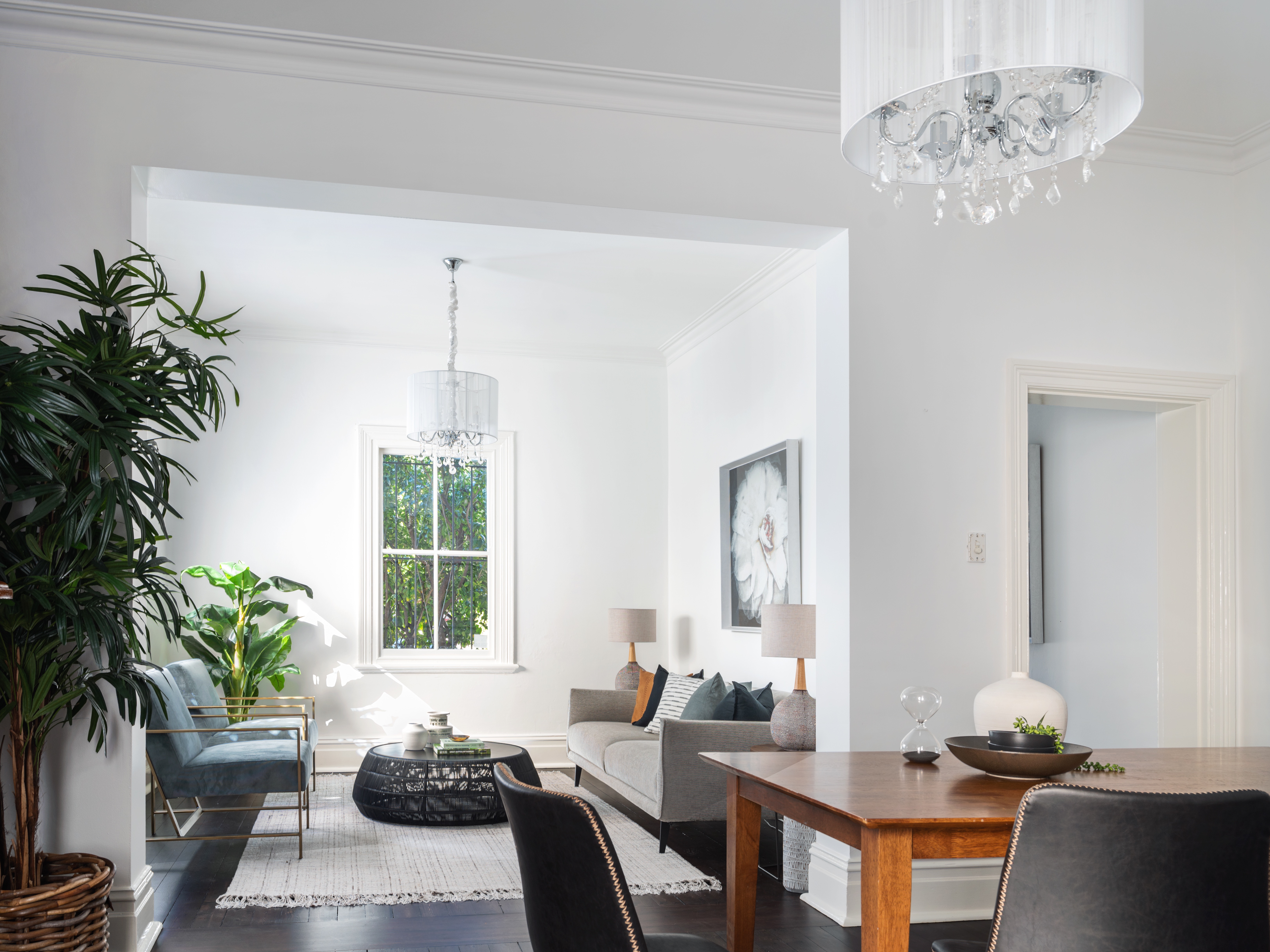 106 Cascade Street, Paddington NSW