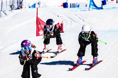 KOM U14/16 & FIS SKIER CROSS