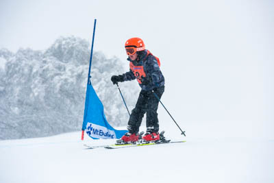 Skier X Girls Div 5 (Bib 72-154)