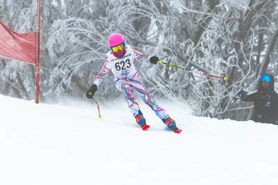 Girls Div 4 GS Race (Bib 523-642)