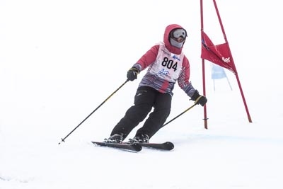 Multi Class Event, Alpine GS – Race Shots
