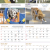 Dogs of Australia 2026 Calendar | back_1.png