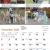 Dogs of Australia 2026 Calendar | dec.png