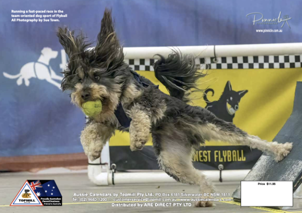 Dogs of Australia 2026 Calendar | back.png