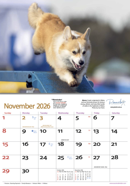 Dogs of Australia 2026 Calendar | nov.png