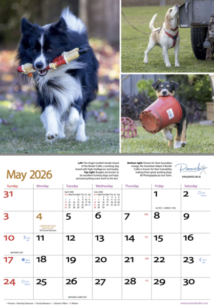 Dogs of Australia 2026 Calendar | may.png