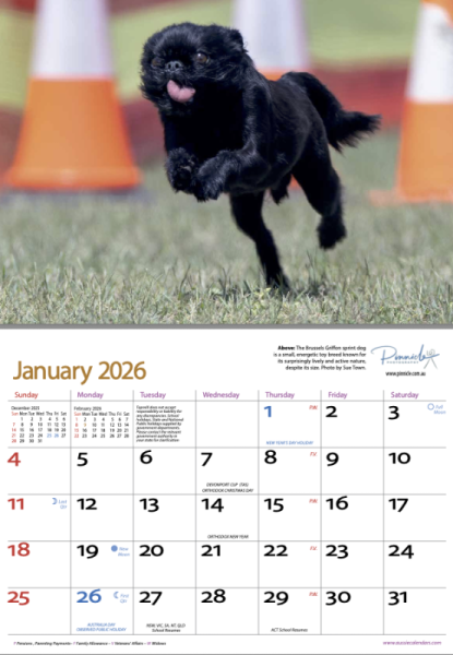 Dogs of Australia 2026 Calendar | jan.png