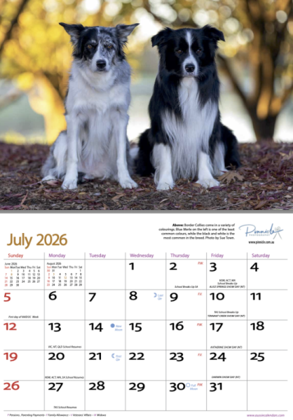 Dogs of Australia 2026 Calendar | july.png