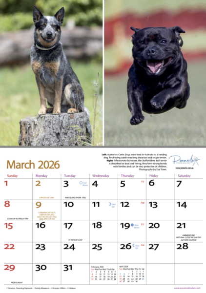 Dogs of Australia 2026 Calendar | mar.png
