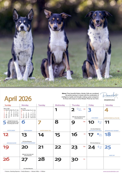 Dogs of Australia 2026 Calendar | apl.png