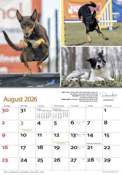 Dogs of Australia 2026 Calendar | aug.png