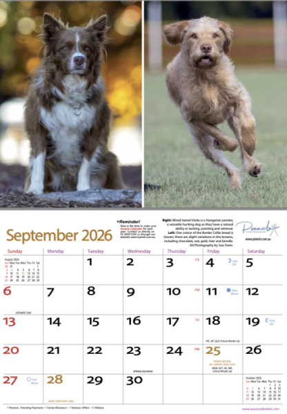 Dogs of Australia 2026 Calendar | sep.png