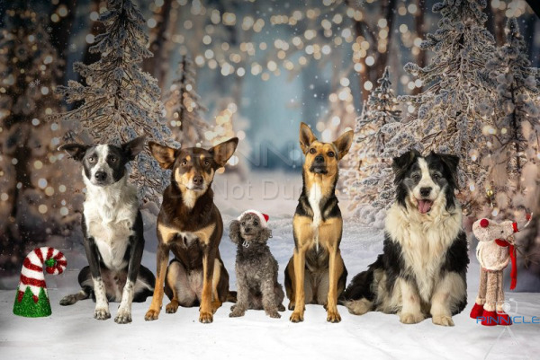 Andrea & Loyd - 30 Nov 2025