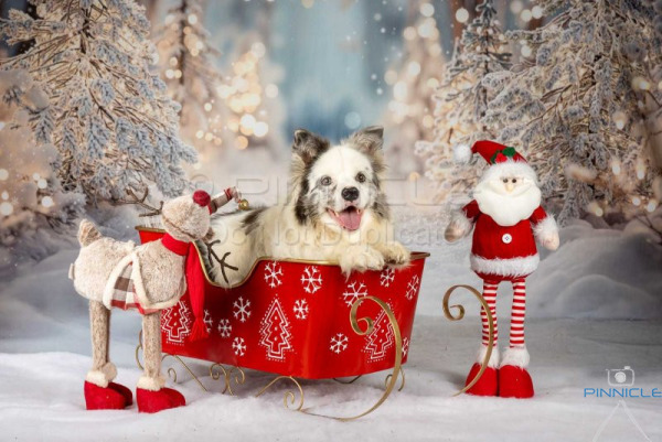 Catherine Egan - 14 December 2025