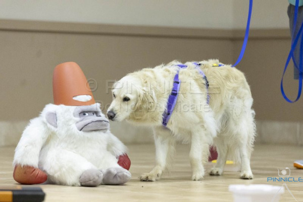 WSSW - Excellent Containers - 12 Jan 2025