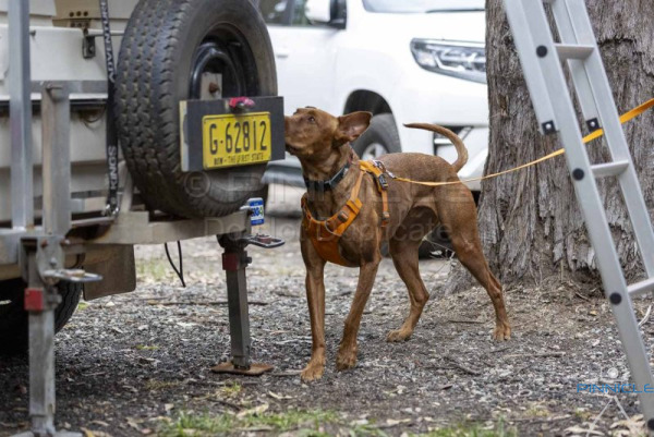NSDTC - MV AV - 12 Oct 2025