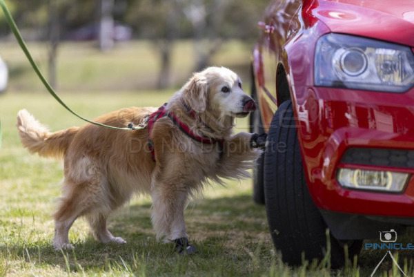 Tuggeranong ACT - 18 Oct 25 - MV Ex V