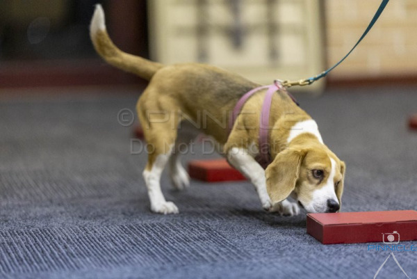 WSSW - 30 July 25 - Yarramundi - Adv Containers