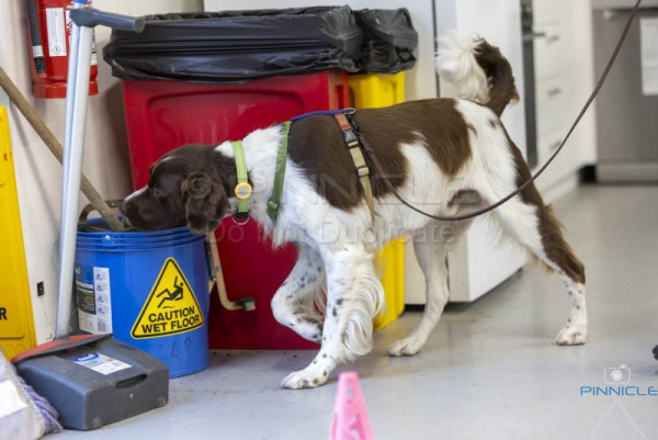 NSDTC - Excellent Interiors - 26 Jan 2025