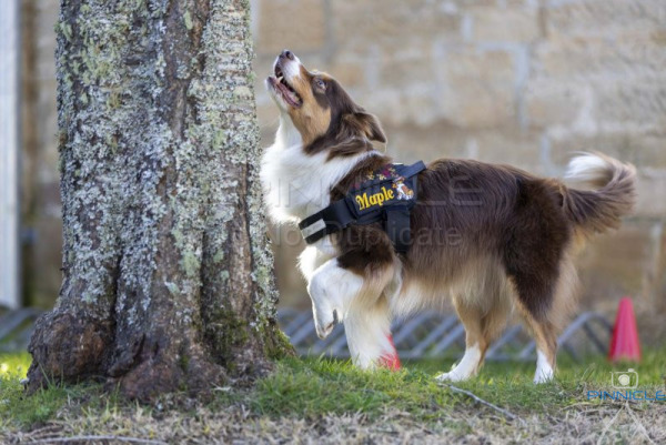 Southern Highlands - 12 July 25 - Ultimate