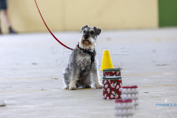 WSSW - 17 Nov 2024 - Kenthurst NSW - Excellent Exteriors & Containers