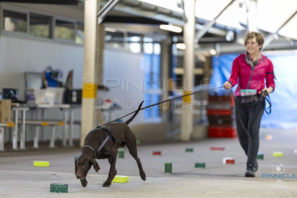 WSSW - 26jly25 - Excellent Exterior Master Containers