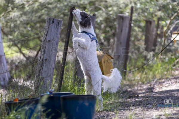 20 October 2024 - Gundaroo ACT, Excellent Exteriors