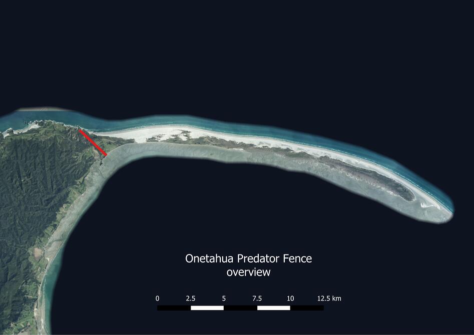 Help Us Finish the Fence - Protect Farewell Spit's Wildlife | PledgeMe