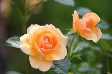 74033dc6 4322 4db7 bb6a 519d9fefec40