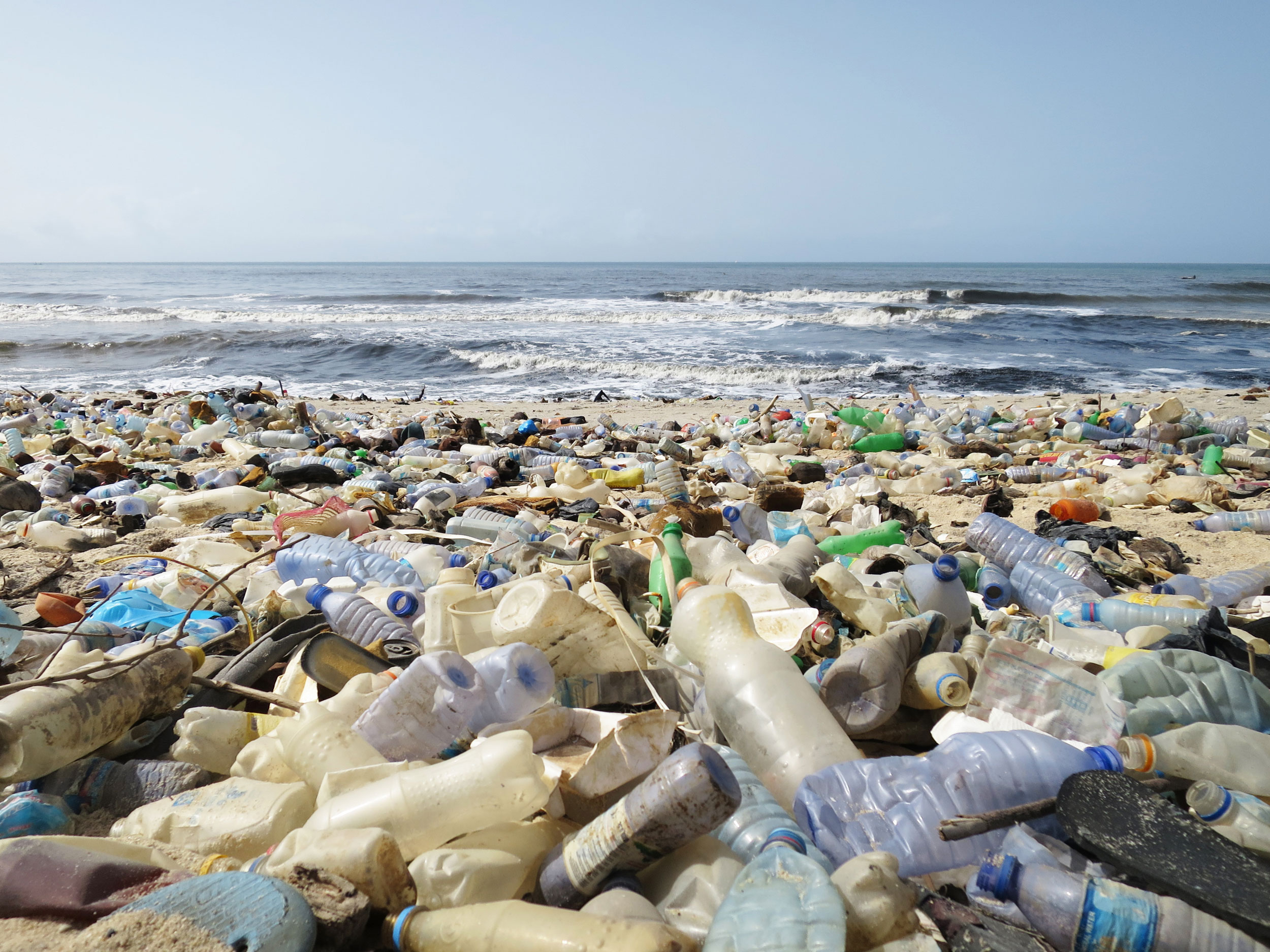 Beach Cleanup