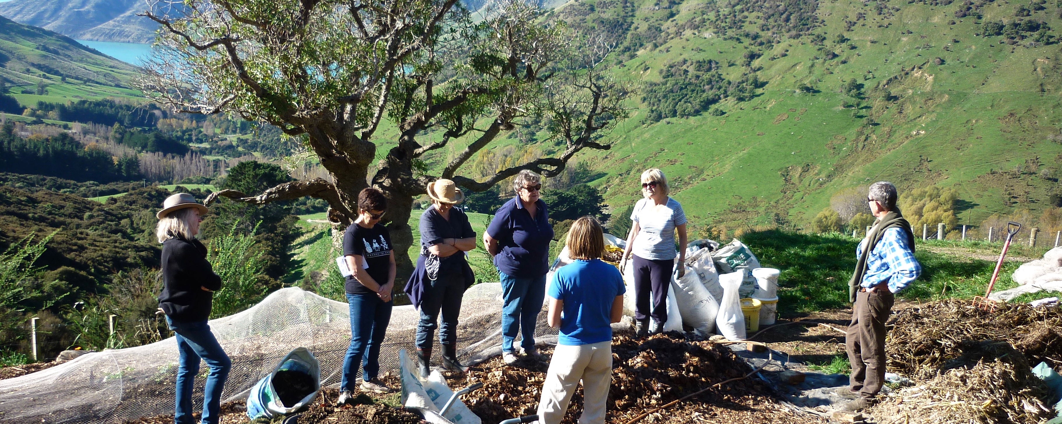 Koru Kai Herb Farm Organic Gardening With The Soil Food Web