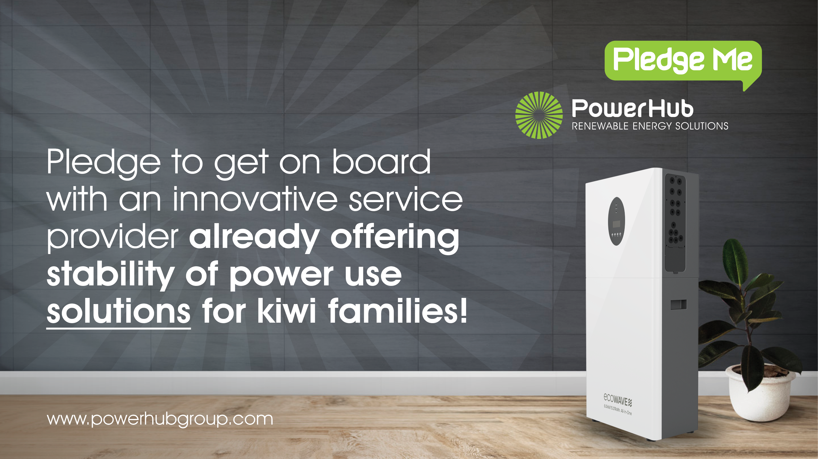 PowerHub: Let's build a platform for change together | PledgeMe