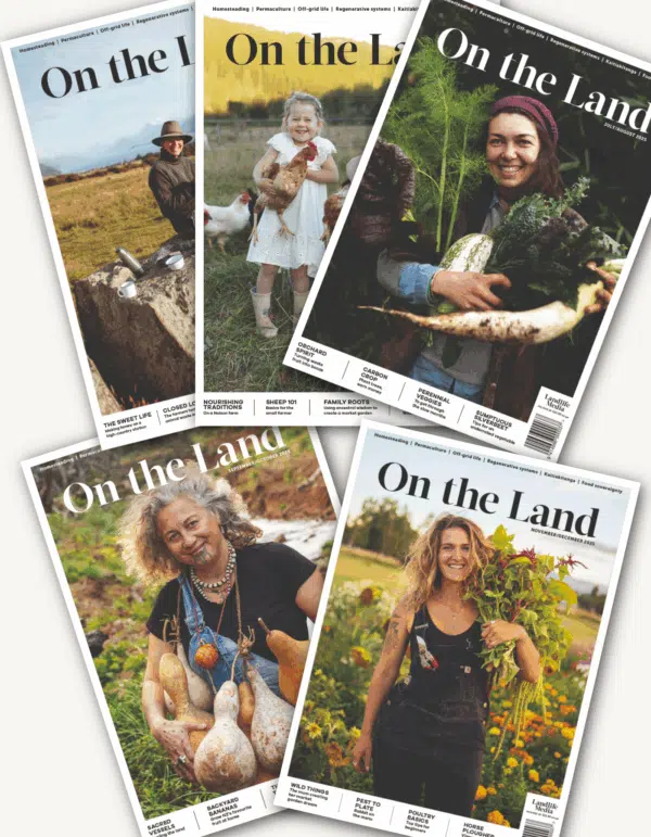 Let's take On the Land to the next level! | PledgeMe