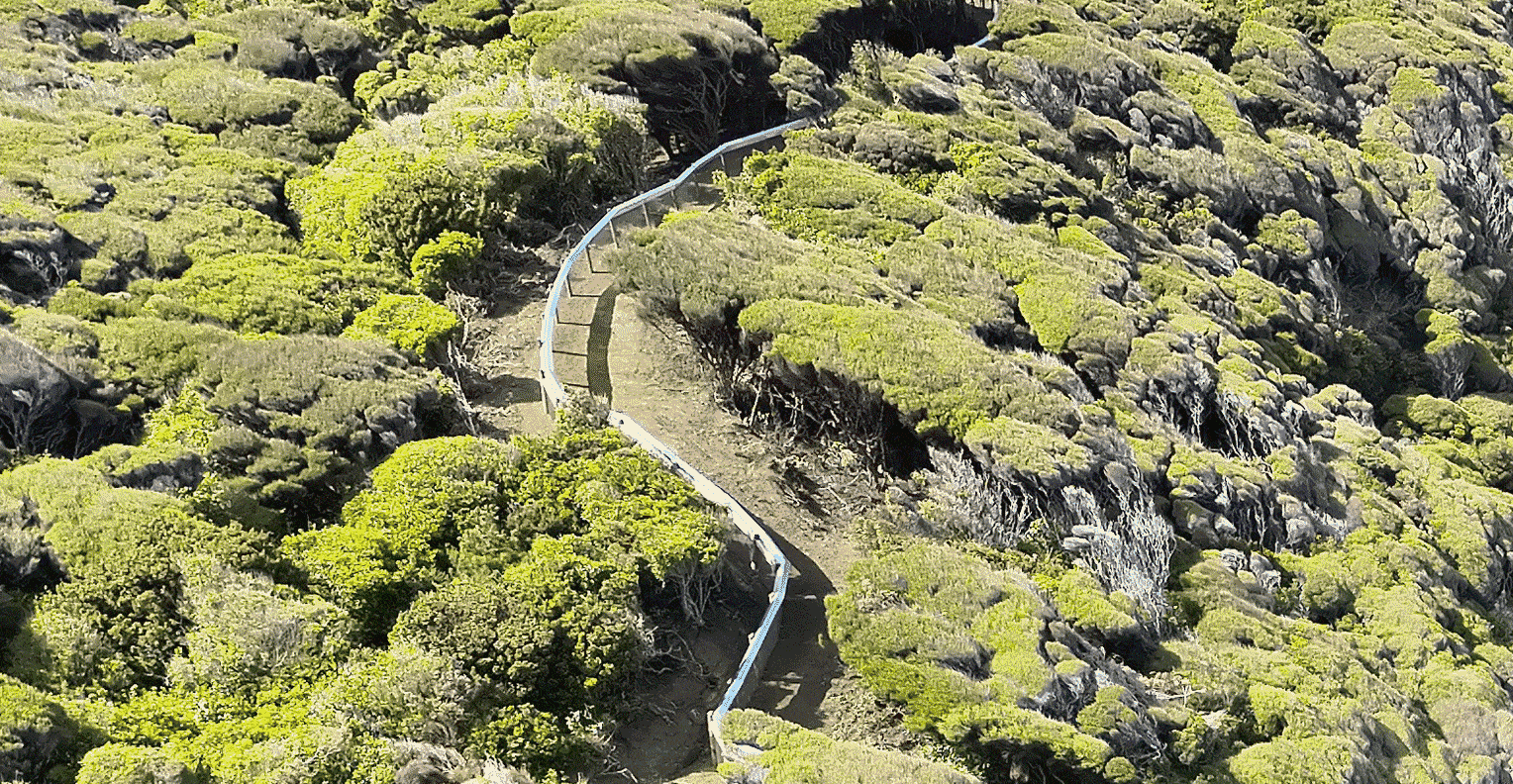 Help Us Finish the Fence - Protect Farewell Spit's Wildlife | PledgeMe