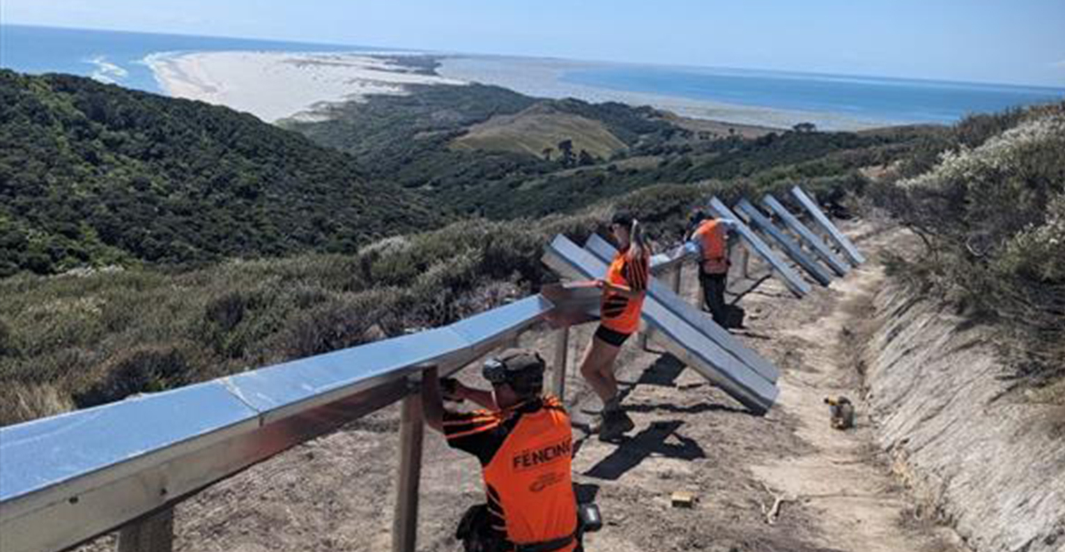 Help Us Finish the Fence - Protect Farewell Spit's Wildlife | PledgeMe