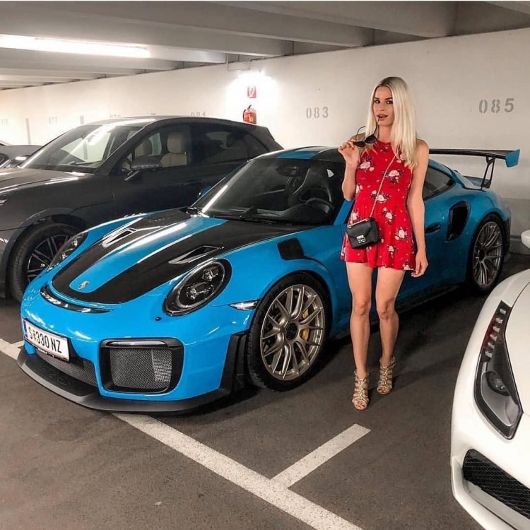 Porsche dali bbw
