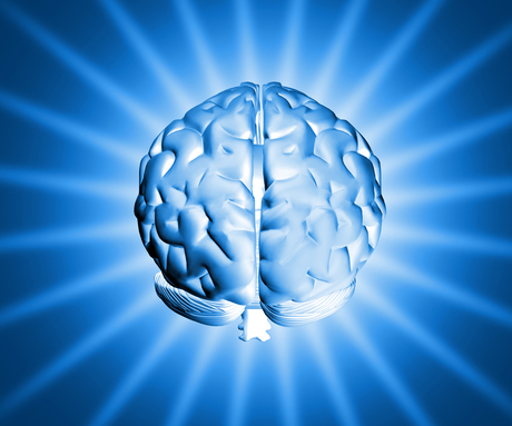 AusBiotech secures Australian first with world brain mapping congress Brain
