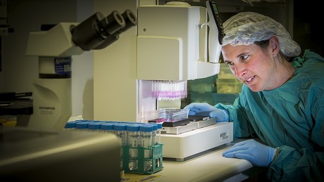 The key to fighting sepsis Phenomics