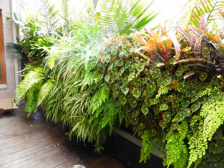 The benefits of greenwalls The greenwall company